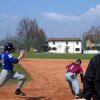Primavera_07_02